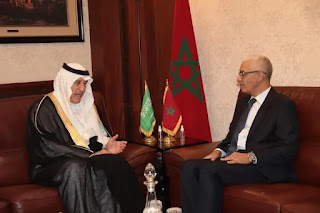 “النواب” يختار دبلوماسية البرلمان لخدمة الصحراء