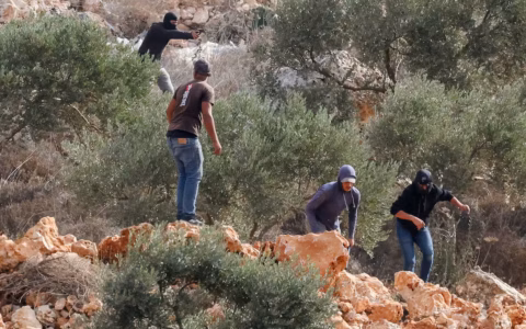 مستوطنون ملثمون يهاجمون قاطفي الزيتون في أبو فلاح ويصيبون مصورة صحفية أمريكية وواشنطن تدين