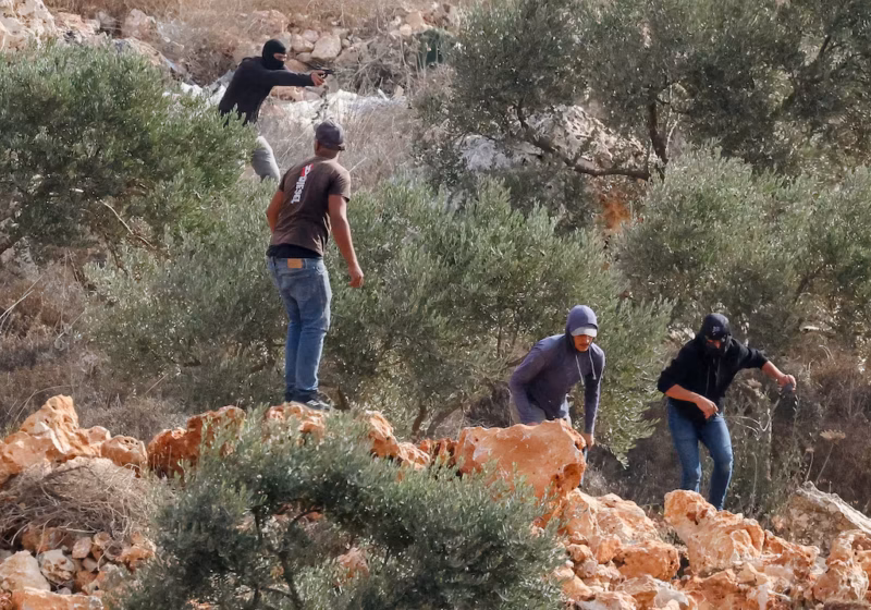 مستوطنون ملثمون يهاجمون قاطفي الزيتون في أبو فلاح ويصيبون مصورة صحفية أمريكية وواشنطن تدين